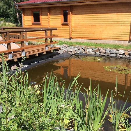Вилла Blockhaus Harzblick4C Браунлаге Экстерьер фото