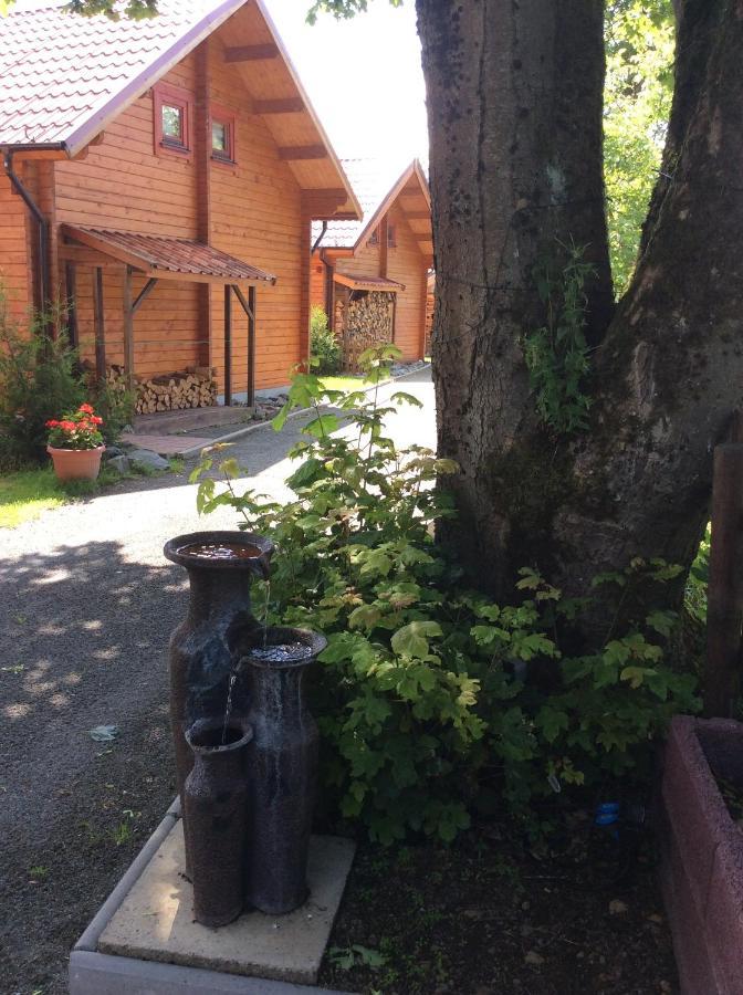 Вилла Blockhaus Harzblick4C Браунлаге Экстерьер фото